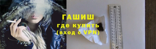 ешки Бородино